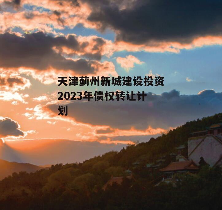 天津蓟州新城建设投资2023年债权转让计划