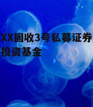 XX固收3号私募证券投资基金