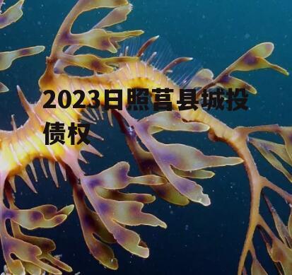 2023日照莒县城投债权