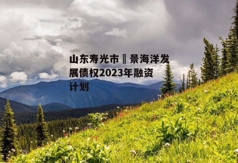 山东寿光市昇景海洋发展债权2023年融资计划