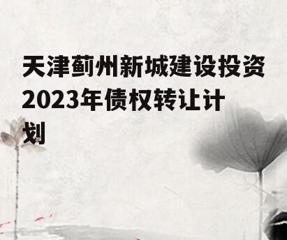 天津蓟州新城建设投资2023年债权转让计划