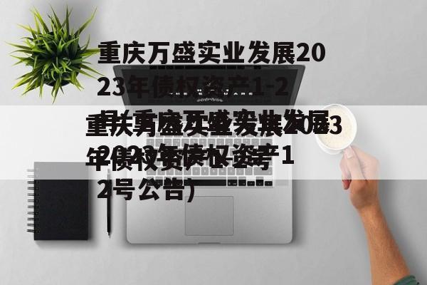 重庆万盛实业发展2023年债权资产1-2号(重庆万盛实业发展2023年债权资产12号公告)