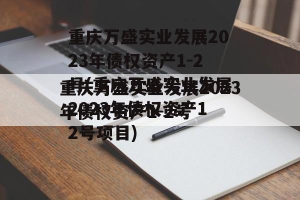 重庆万盛实业发展2023年债权资产1-2号(重庆万盛实业发展2023年债权资产12号项目)