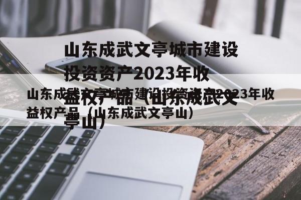 山东成武文亭城市建设投资资产2023年收益权产品（山东成武文亭山）