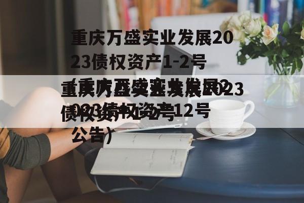 重庆万盛实业发展2023债权资产1-2号(重庆万盛实业发展2023债权资产12号公告)