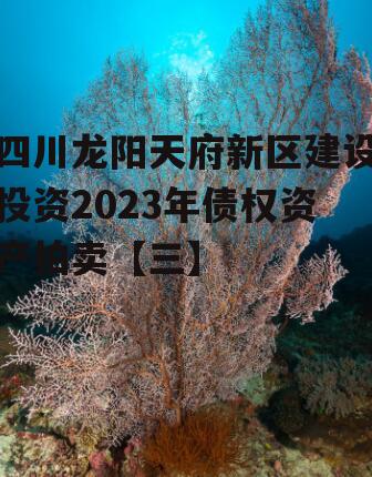 四川龙阳天府新区建设投资2023年债权资产拍卖【三】