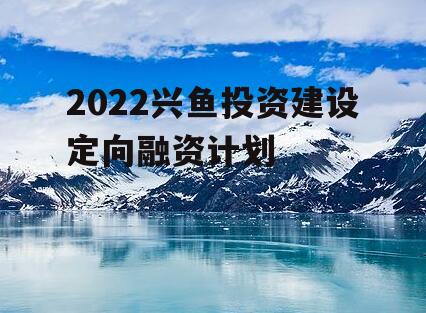 2022兴鱼投资建设定向融资计划