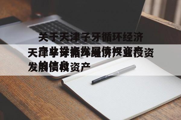 关于天津子牙循环经济产业投资发展债权资产的信息