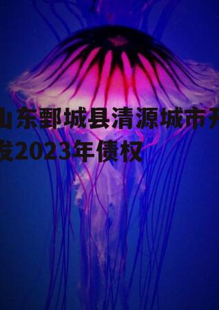 山东鄄城县清源城市开发2023年债权