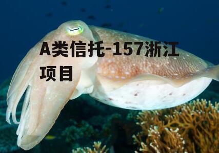 A类信托-157浙江项目