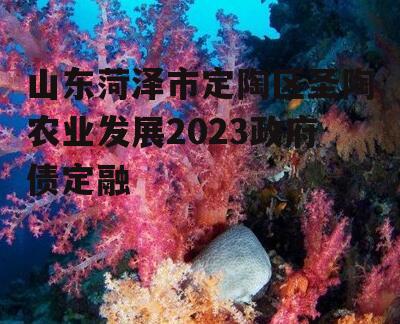 山东菏泽市定陶区圣陶农业发展2023政府债定融