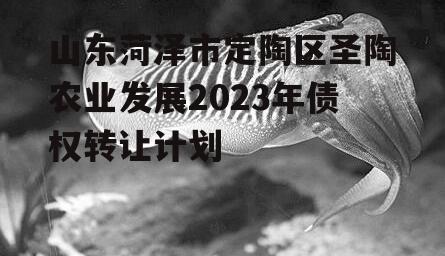 山东菏泽市定陶区圣陶农业发展2023年债权转让计划