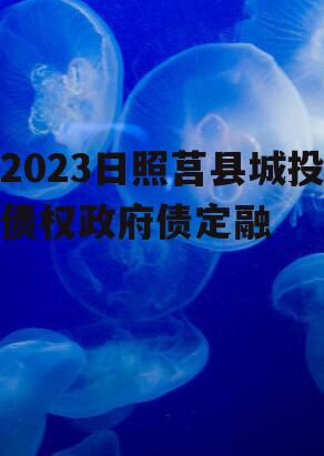 2023日照莒县城投债权政府债定融