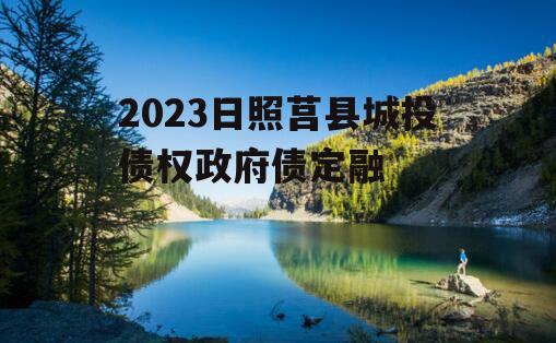 2023日照莒县城投债权政府债定融