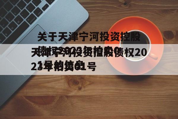 关于天津宁河投资控股债权2023年拍卖01号的信息