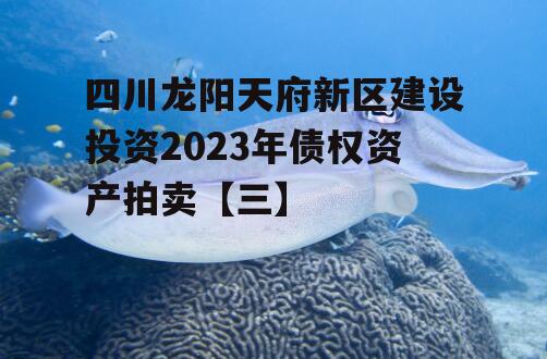 四川龙阳天府新区建设投资2023年债权资产拍卖【三】