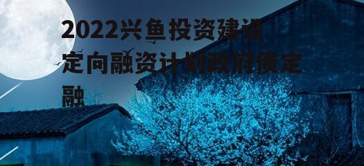 2022兴鱼投资建设定向融资计划政府债定融