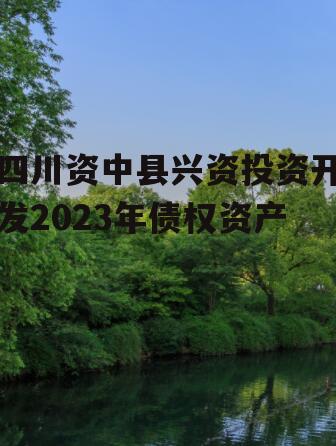 四川资中县兴资投资开发2023年债权资产