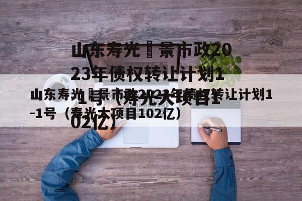 山东寿光昇景市政2023年债权转让计划1-1号（寿光大项目102亿）