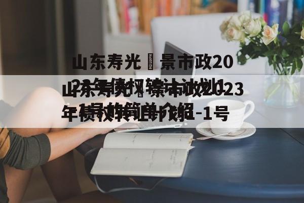 山东寿光昇景市政2023年债权转让计划1-1号的简单介绍