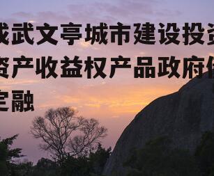 成武文亭城市建设投资资产收益权产品政府债定融