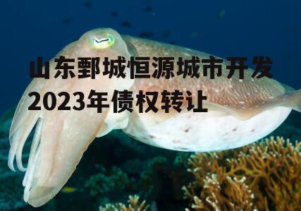 山东鄄城恒源城市开发2023年债权转让