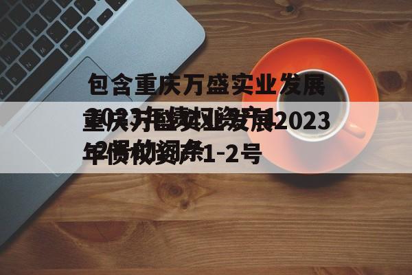 包含重庆万盛实业发展2023年债权资产1-2号的词条