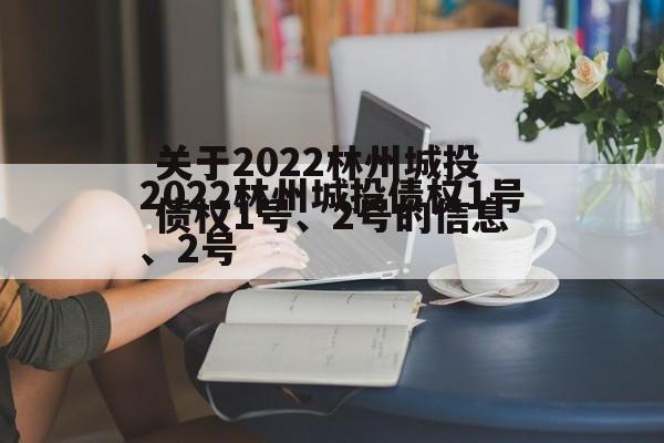 关于2022林州城投债权1号、2号的信息