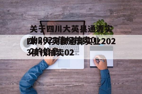 关于四川大英县通源实业2023债权拍卖02的信息