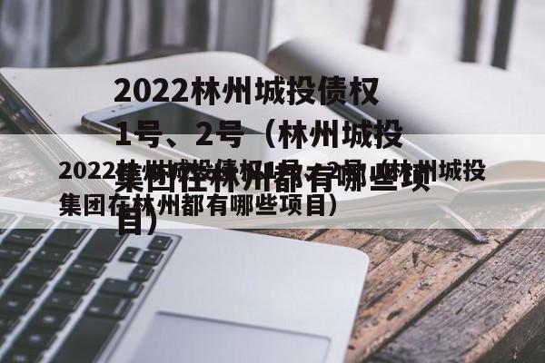 2022林州城投债权1号、2号（林州城投集团在林州都有哪些项目）