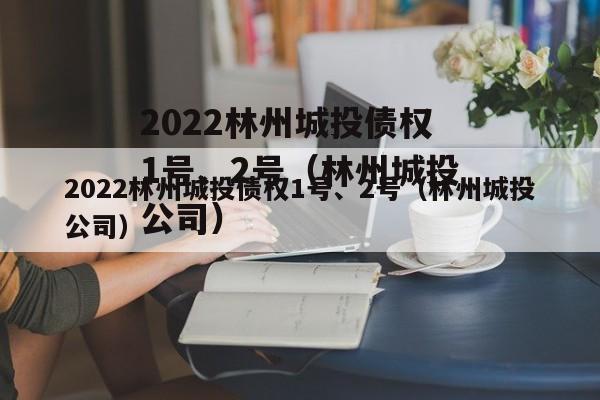 2022林州城投债权1号、2号（林州城投公司）