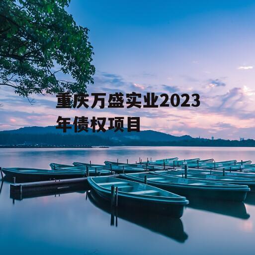 重庆万盛实业2023年债权项目