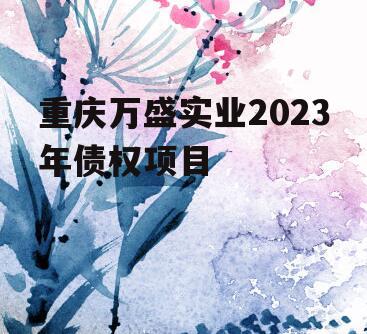 重庆万盛实业2023年债权项目