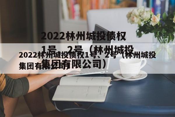 2022林州城投债权1号、2号（林州城投集团有限公司）