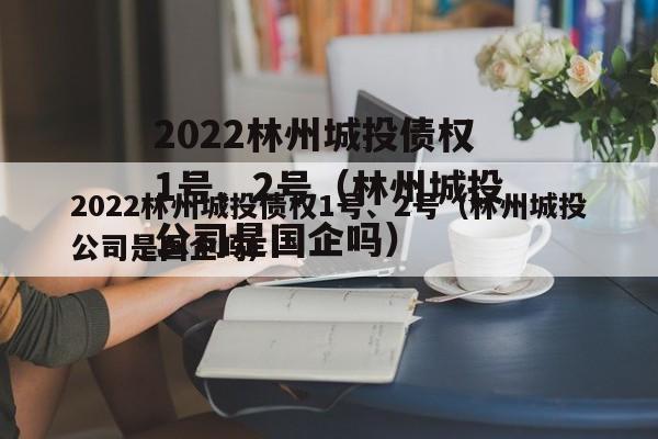 2022林州城投债权1号、2号（林州城投公司是国企吗）