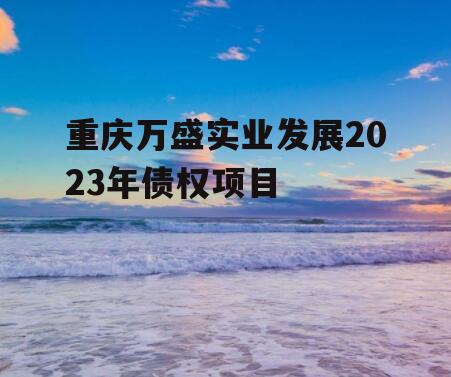 重庆万盛实业发展2023年债权项目