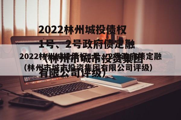 2022林州城投债权1号、2号政府债定融（林州市城市投资集团有限公司评级）