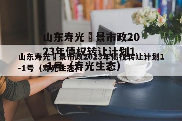 山东寿光昇景市政2023年债权转让计划1-1号（寿光生态）