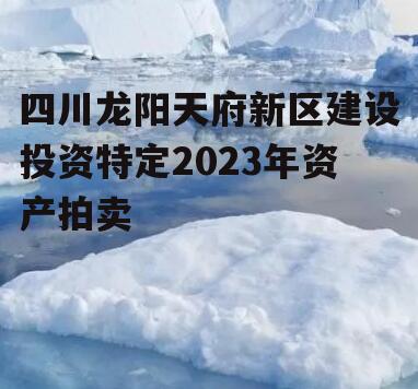 四川龙阳天府新区建设投资特定2023年资产拍卖