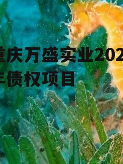 重庆万盛实业2023年债权项目