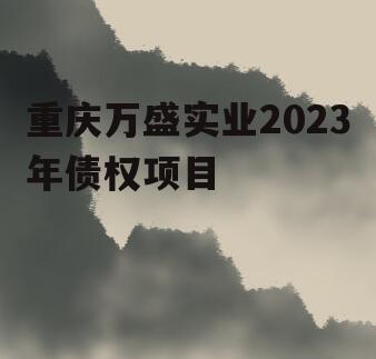 重庆万盛实业2023年债权项目