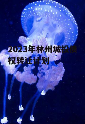 2023年林州城投债权转让计划