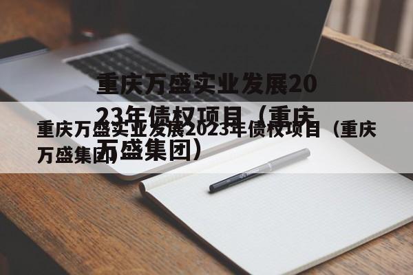 重庆万盛实业发展2023年债权项目（重庆万盛集团）