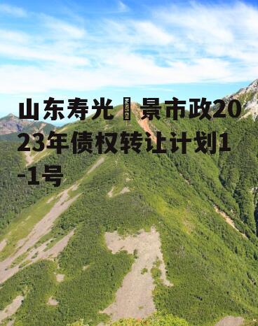 山东寿光昇景市政2023年债权转让计划1-1号