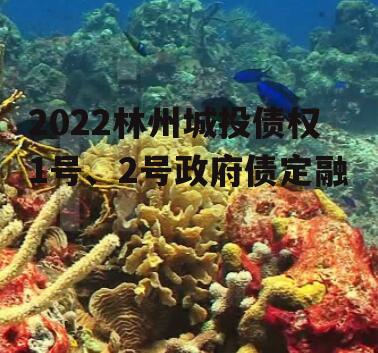 2022林州城投债权1号、2号政府债定融