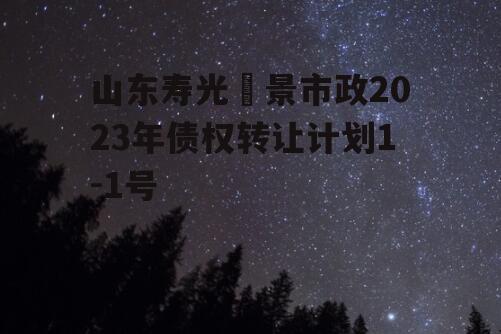 山东寿光昇景市政2023年债权转让计划1-1号