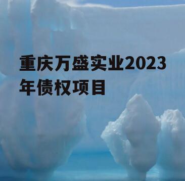 重庆万盛实业2023年债权项目