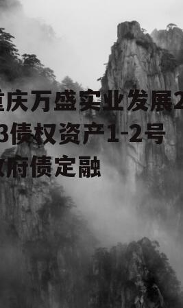 重庆万盛实业发展2023债权资产1-2号政府债定融