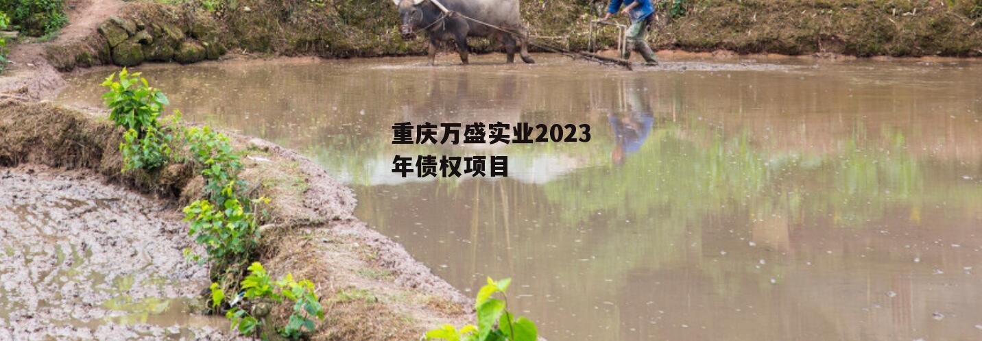 重庆万盛实业2023年债权项目