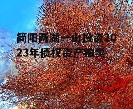 简阳两湖一山投资2023年债权资产拍卖